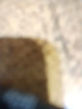 Cam4 Private Sex Chat of marcos4508