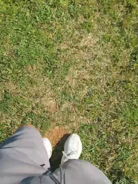 Cam4 Sex Cam of Thiagoveraxx