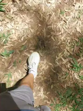 Cam4 Adult Webcam of Thiagoveraxx