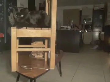 Cam4 Best live sex cam show of Angelodelavegq