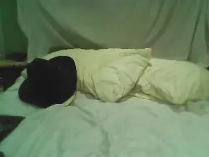 Cam4 Adult Video Chat of teaserbayte619