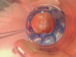 Cam4 Live Sex Cam of MikeSpyke