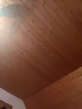 Cam4 Best Webcam of Opahot