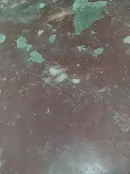 Cam4 Adult Webcams of Sandrogostoso