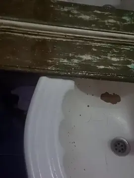 Cam4 Sex Chat of agustin512