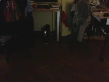 Cam4 Adult Webcams of nizi31