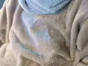 Cam4 Adult Webcam of xxxroyroyxxx