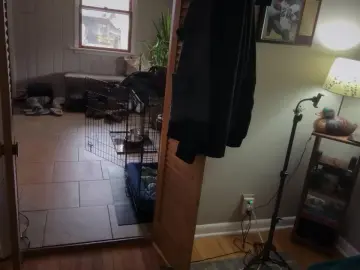 Cam4 Free Live Porn of StudlyHardwood