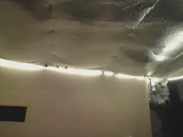 Cam4 Free Live Porn of BJBURN