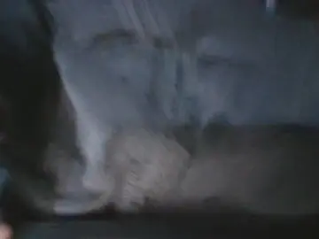 Cam4 Free Live Porn of BJBURN