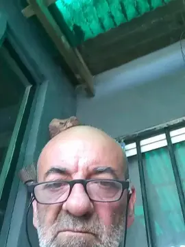 Cam4 Adult Webcams of lobo293