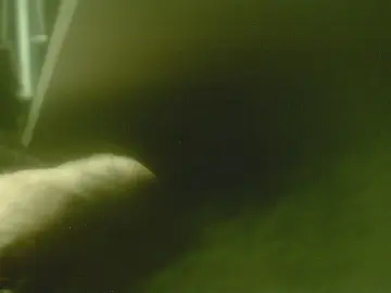 Cam4 Sex Chat of zaboski