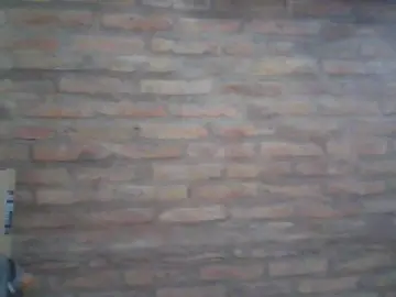 Cam4 Free Porn Cam of Ctes33