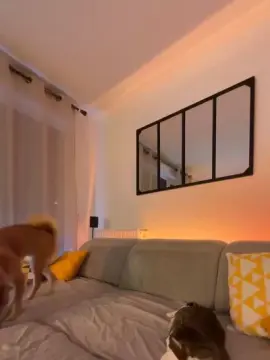 Cam4 Private Sex Chat of LF880