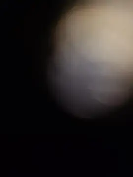 Cam4 Free Porn Cam of slet69jbottom2