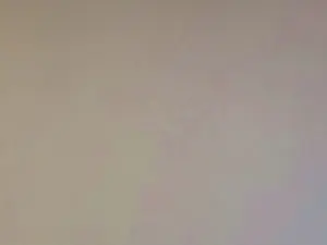 Cam4 Best Webcam of Lanonyyme