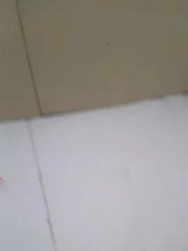 Cam4 Sex Chat of Mamissonga