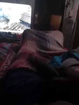 Cam4 Live Sex of Mdia3