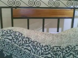 Cam4 Sex Cam of cute_shantel