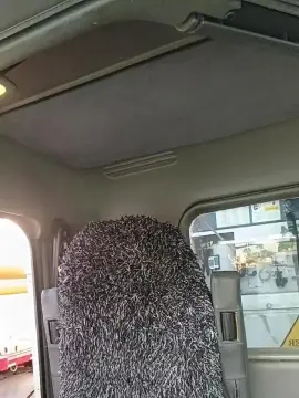 Cam4 Live Sex Cam of Pachovaralarga