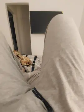 Cam4 Free Porn Cam of PegmeU