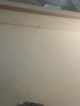 Cam4 Free Porn Cam of Chevrolet34