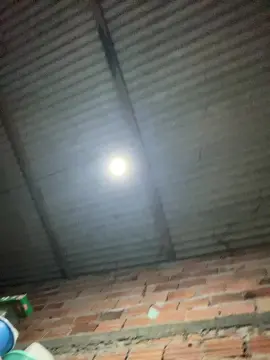 Cam4 Free Porn Cam of Dot34