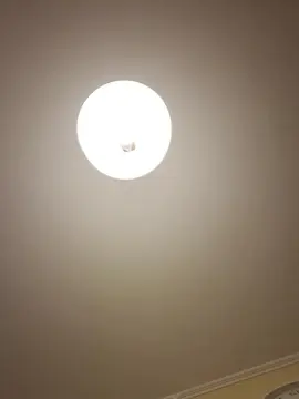 Cam4 Sex Cam of roses_sexy