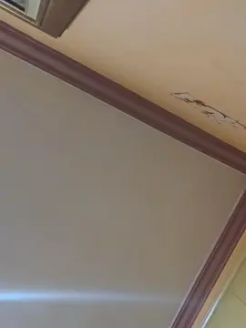 Cam4 Free Live Porn of CDY74