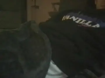 Cam4 Adult Webcams of Mr_02_93