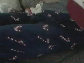 Cam4 Adult Video Chat of Singleboy48