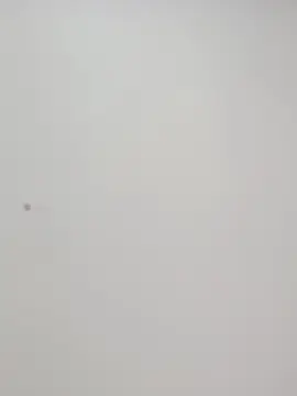 Cam4 Free Porn Cam of Xenius