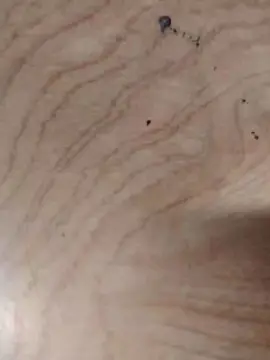 Cam4 Private Sex Chat of Desco82