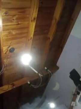 Cam4 Free Live Porn of Taniafemme