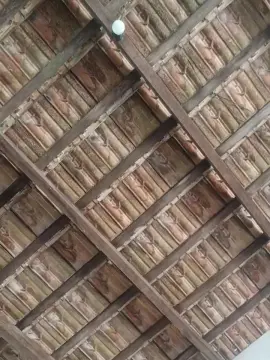 Cam4 Adult Webcam of berinjela6