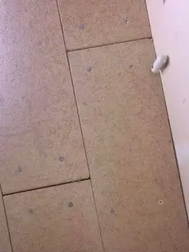 Cam4 Sex Chat of Oreo37