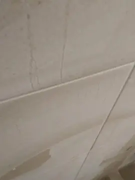 Cam4 Best live sex cam show of maufox4