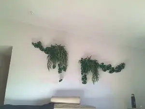 Cam4 Live Sex of darmoyaa