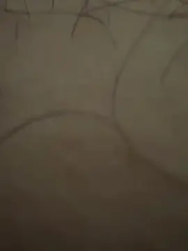 Cam4 Sex Chat of putoloko3