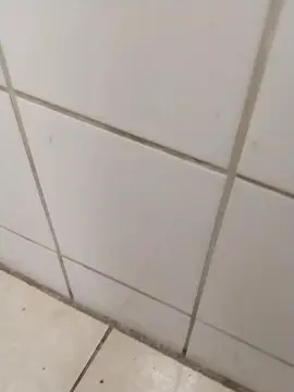 Cam4 Adult Webcams of Mmmbb69