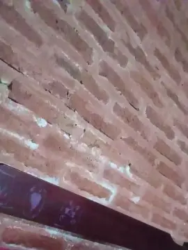 Cam4 Adult Video Chat of Daysired