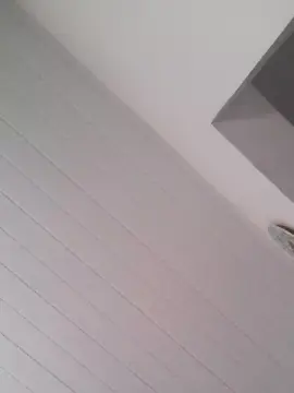 Cam4 Best Webcam of Hayquaza