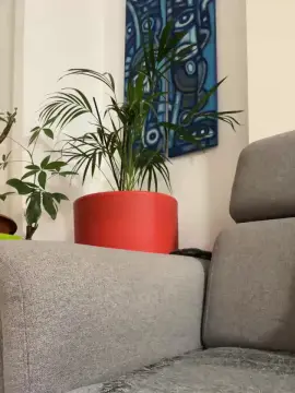 Cam4 Best Webcam of canariongc4