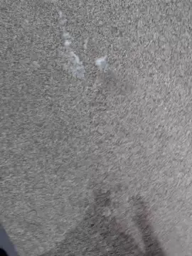 Cam4 Live Sex of rt1979