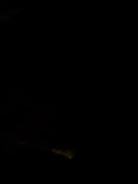 Cam4 Adult Video Chat of andres2580hot