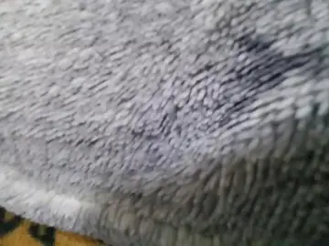 Cam4 Private Sex Chat of Bear_Baby