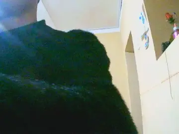 Cam4 Free Porn Cam of antonio2335hot1