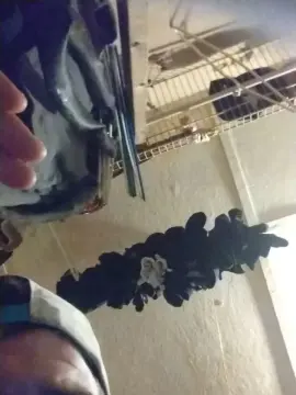 Cam4 Adult Webcams of Bigokk