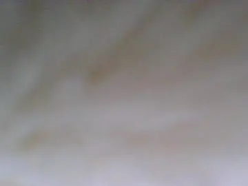 Cam4 Free Live Porn of Demure_cutey