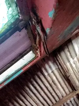 Cam4 Sex Cam of laryynife1